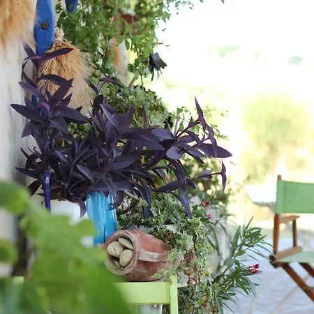 Vento Di Rose Brezza Blu Bed & Breakfast